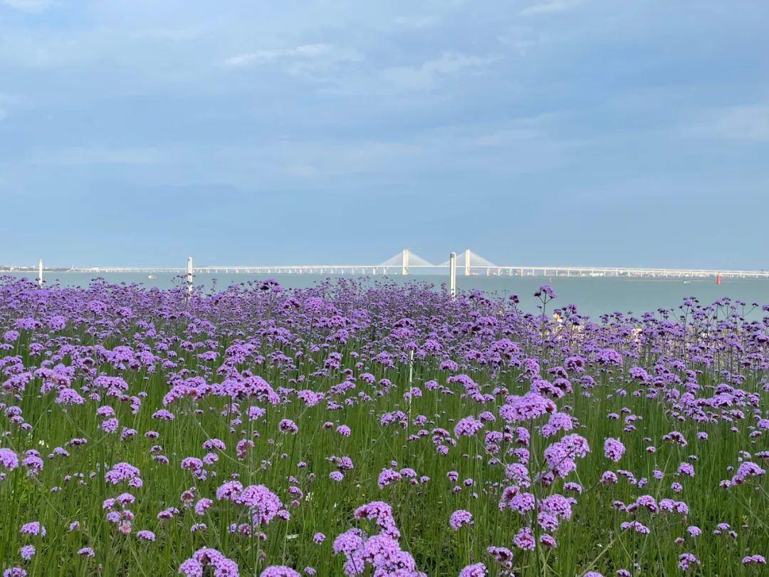 �x����2025��ȇ��н��O�õع���Ӌ��